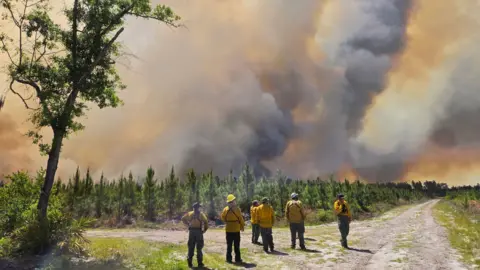 Georgia Forestry Commission Firefighters with the Georgia Forestry Commission survey the Pineland Road Fire. The firefighters stand in the foreground, wearing yellow jackets and helments. Their backs are to the camera as they watch columns of wildfire smoke, glowing orange, soar hundreds of feet into the air.