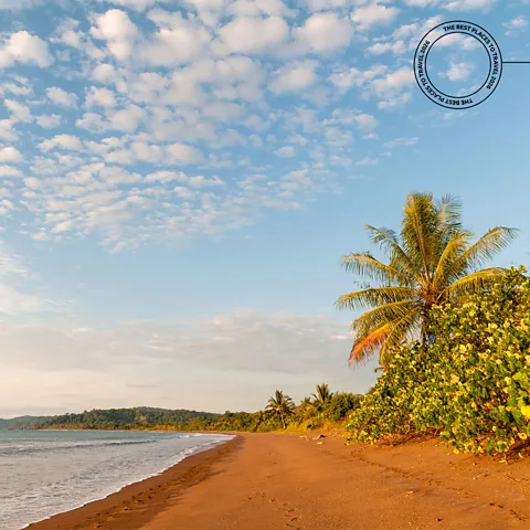 Alamy Costa Rica is strengthening conservation on both land and sea with a focus on jaguar habitats and shark protections (Credit: Alamy)