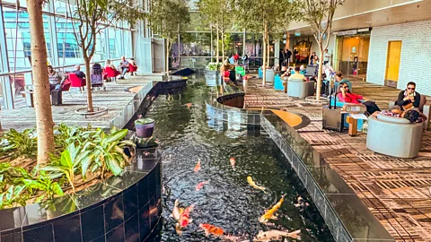 Getty Images Changi Airport's terminals were designed with stress-reduction in mind (Credit: Getty Images)